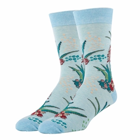 Aloe Vera Socks