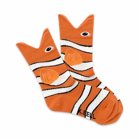 Clown Fish