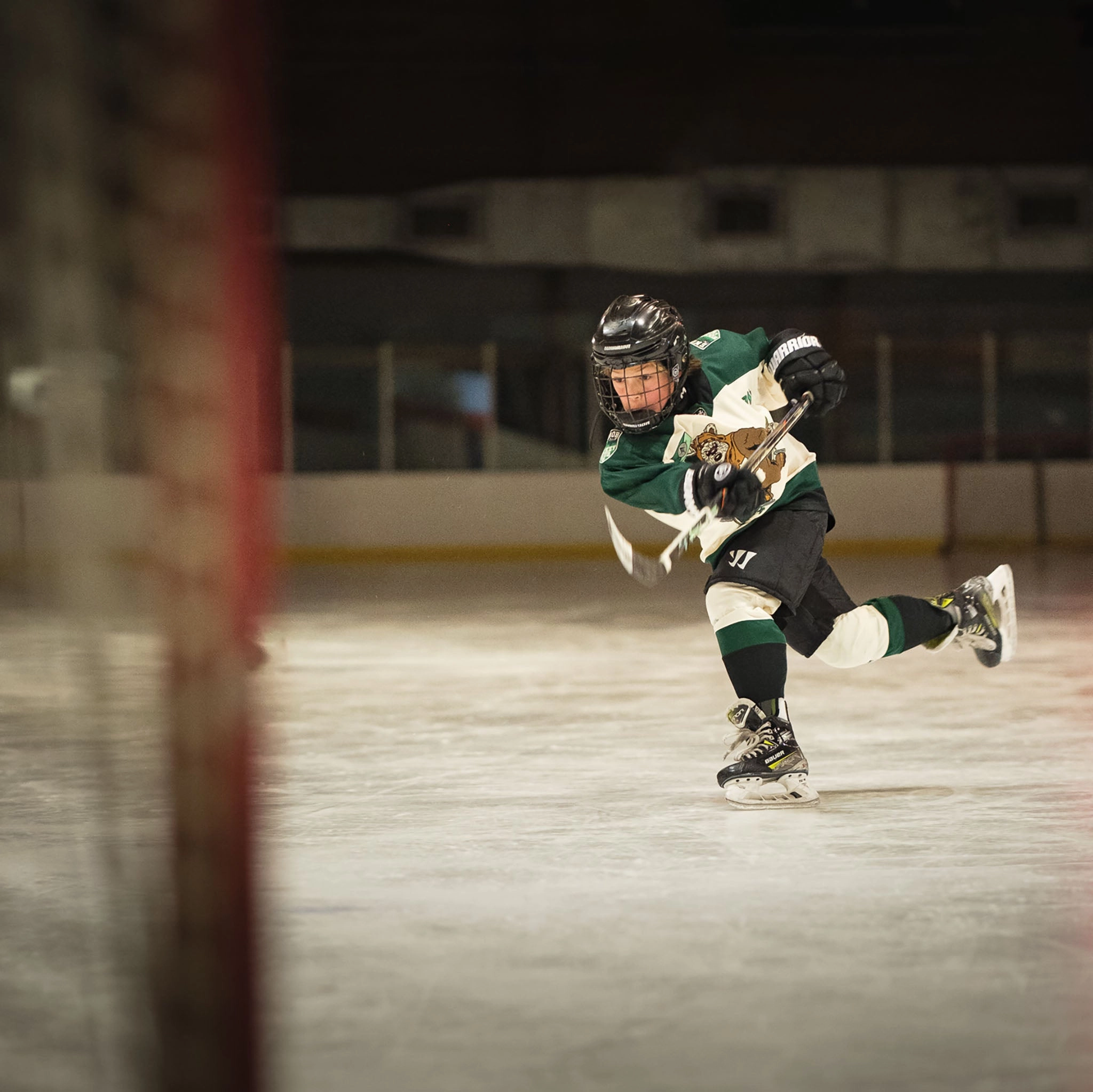 Ewoks Kids Hockey Socks