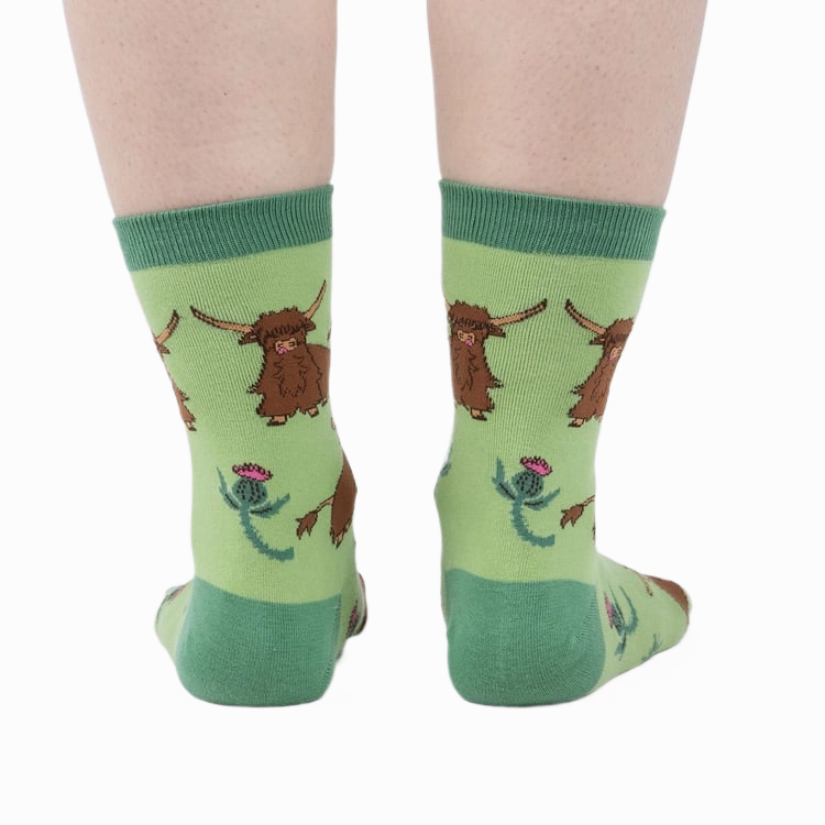 Hardy Highland Cows