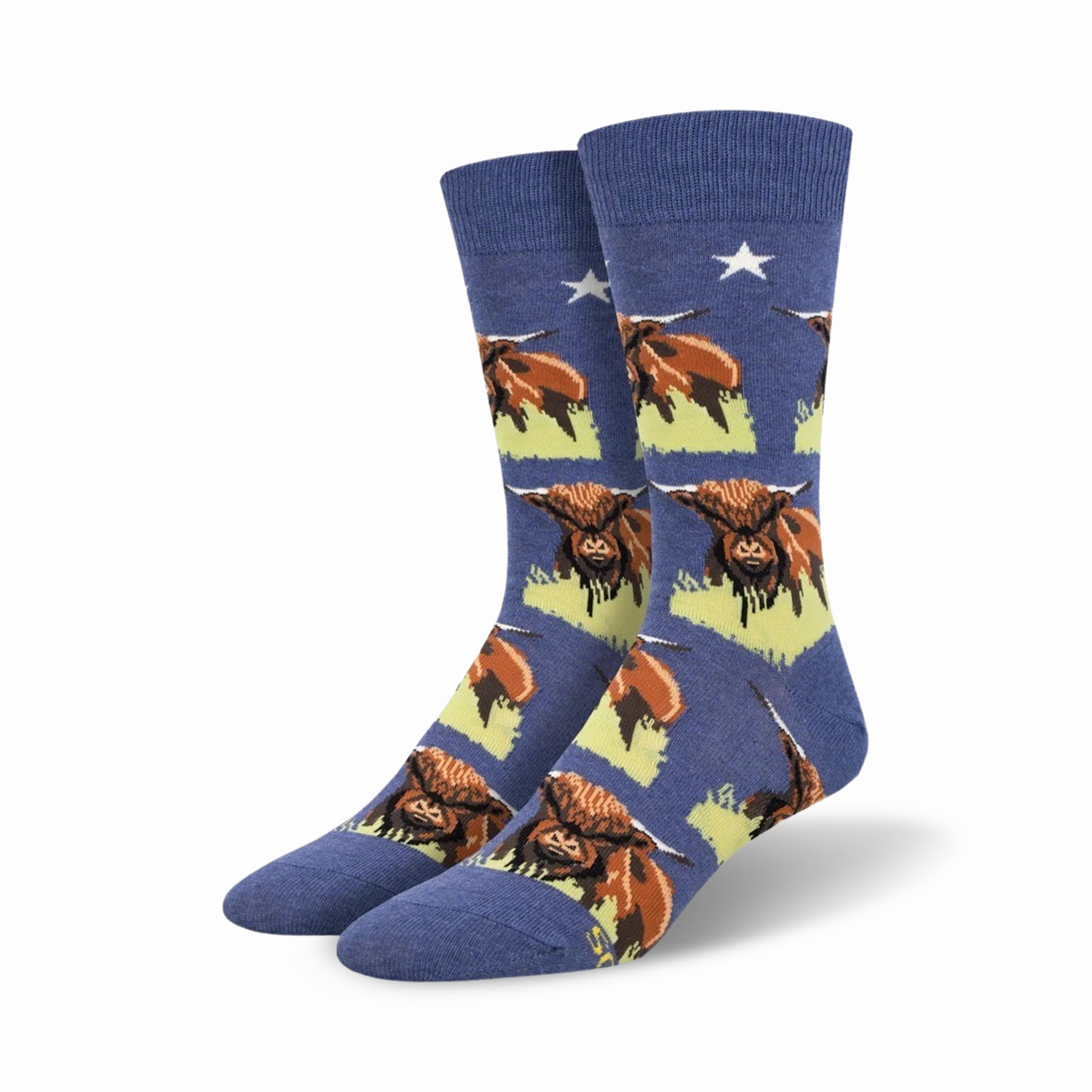 Highland Cows