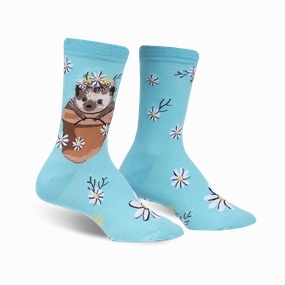 My Dear Hedgehog