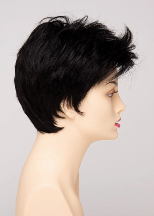 Raven | Synthetic Lace Front Wig (Basic Cap)