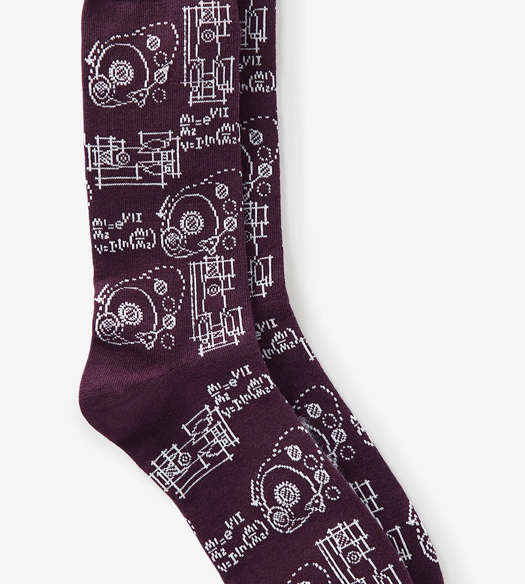 Science Socks